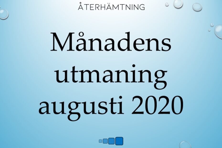 Månadens utmaning augusti 2020