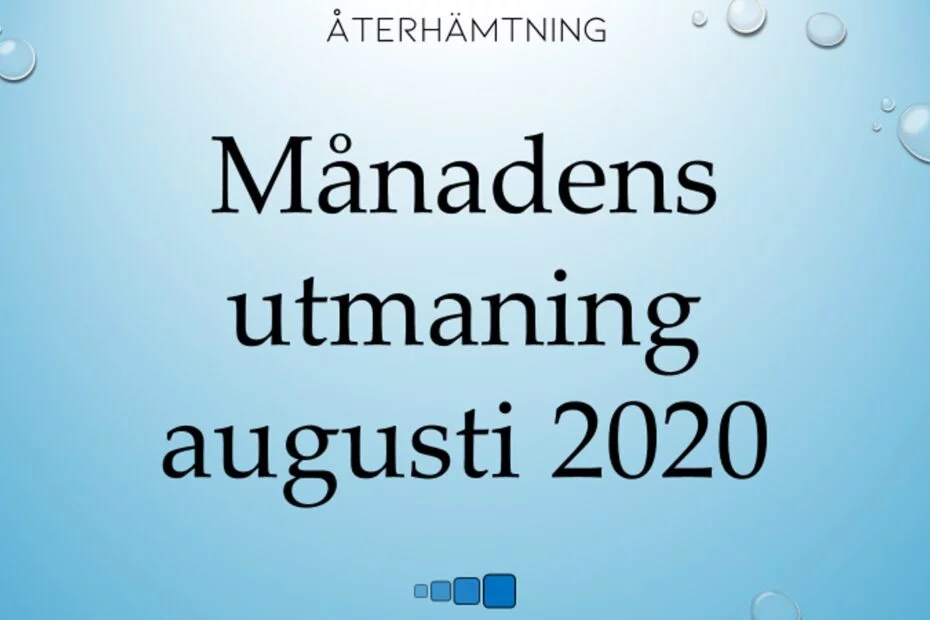 Månadens utmaning augusti 2020