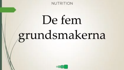 de fem grundsmakerna