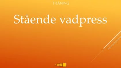 Stående vadpress