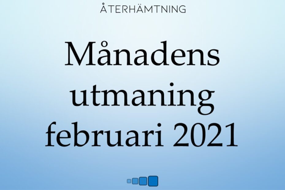 månadens utmaning februari 2021