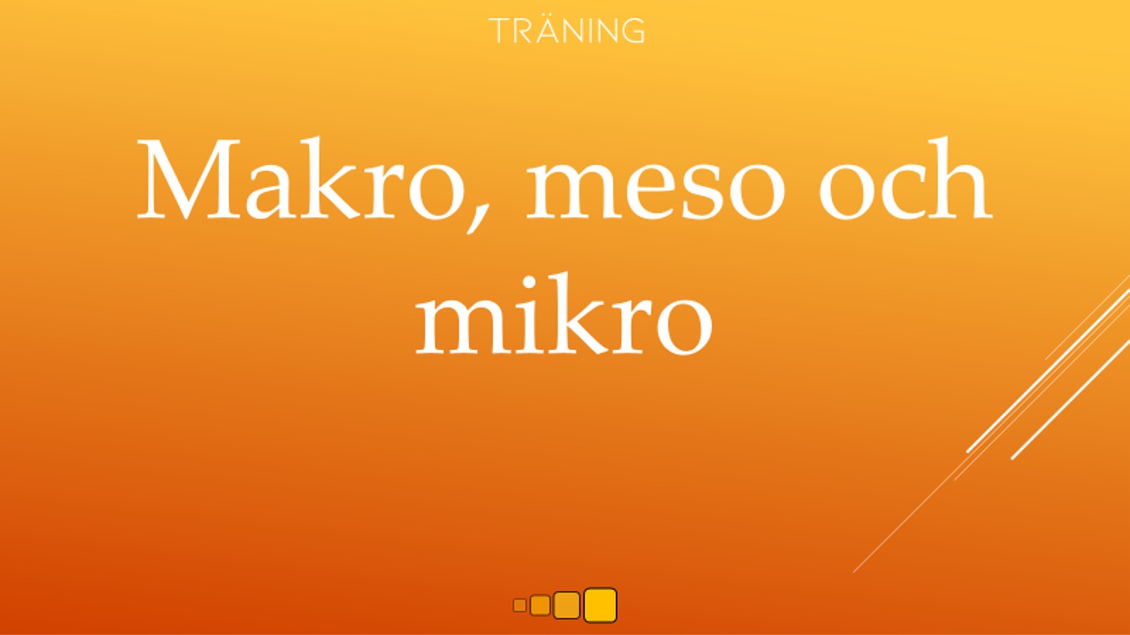 Makro, meso och mikro - STYRKETRAPPAN