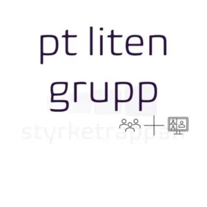 styrketrappan pt liten grupp