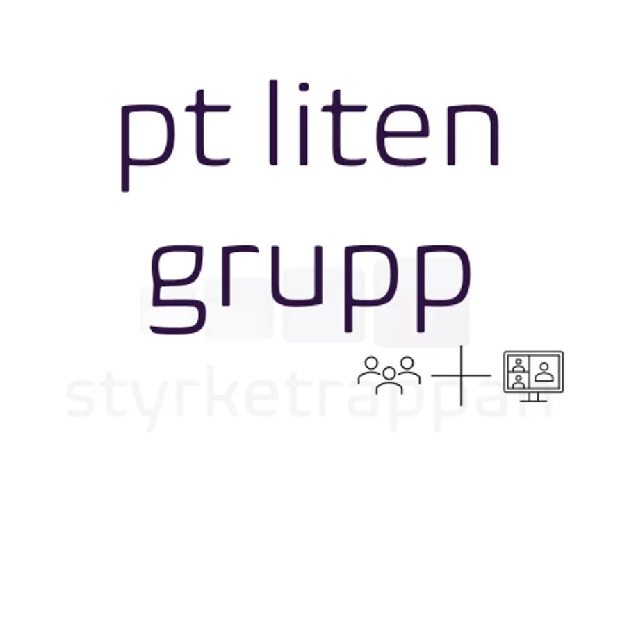 styrketrappan pt liten grupp